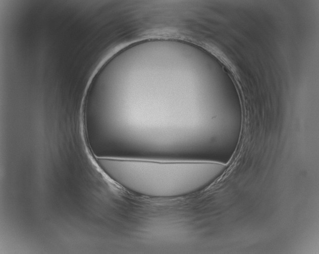 X0000074031440200608211125