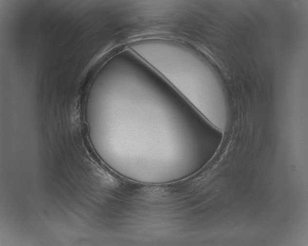 X0000074031450200608211124