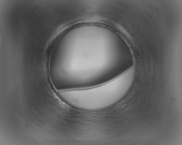 X0000074031456200608211123