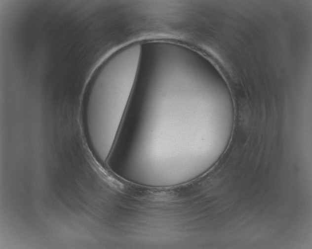 X0000074031460200608211123