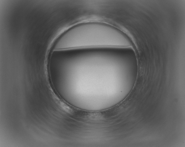 X0000074031464200608211123