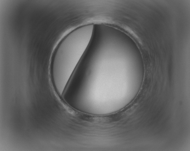 X0000074031469200608211123