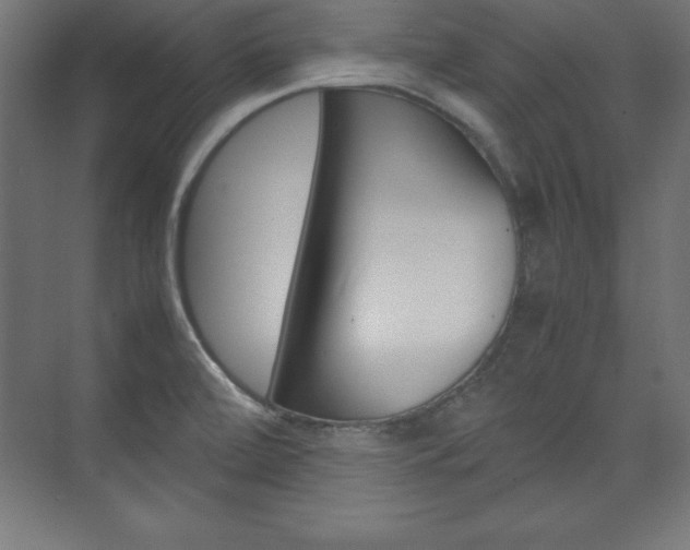 X0000074031472200608211123