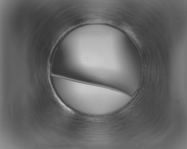 X0000074031476200608211123