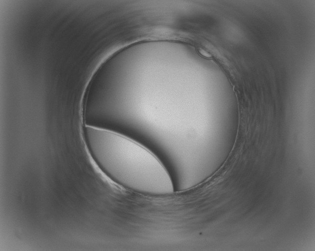 X0000074031479200608211123