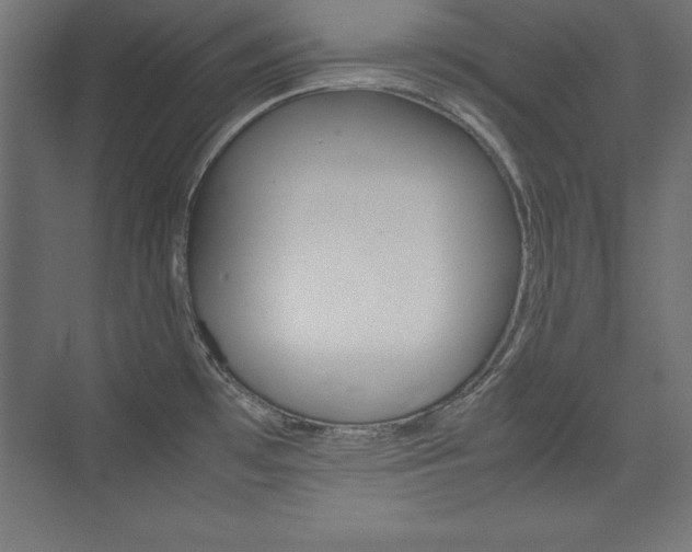 X0000074031481200608211123