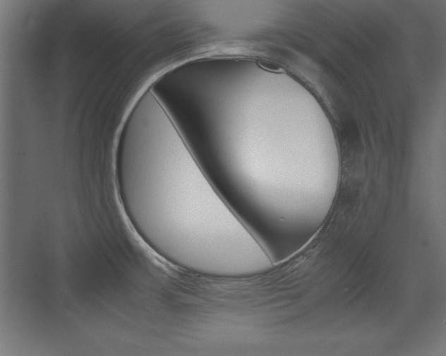 X0000074031483200608211123