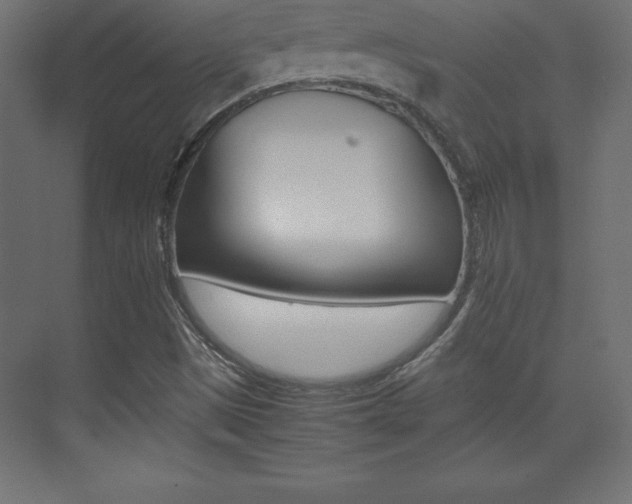 X0000074031497200608211122