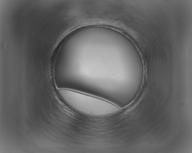 X0000074031501200608211122