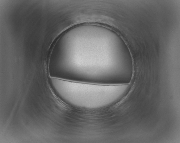 X0000074031505200608211122