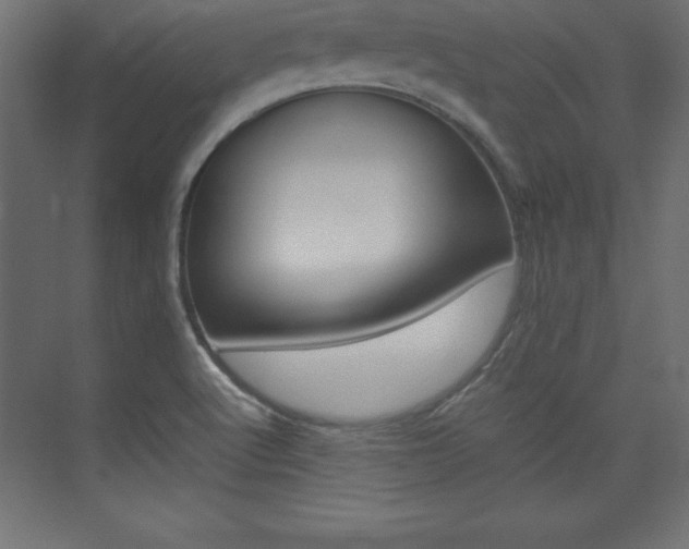 X0000074031512200608211123