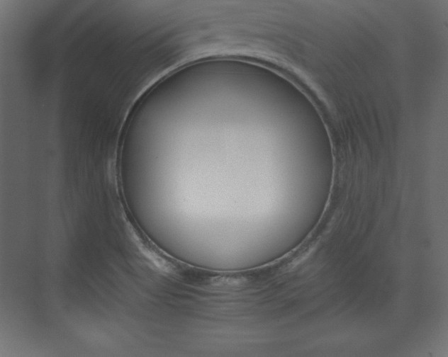 X0000074031513200608211123