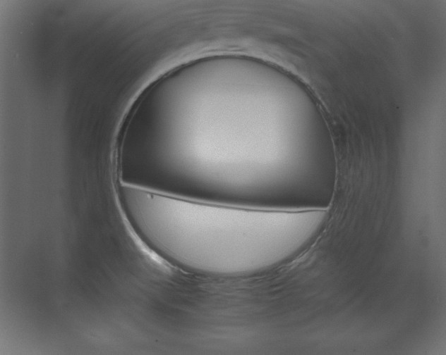 X0000074031519200608211123