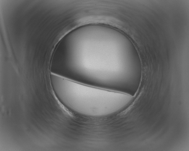 X0000074031521200608211123