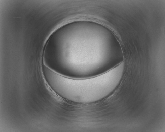 X0000074031530200608211123