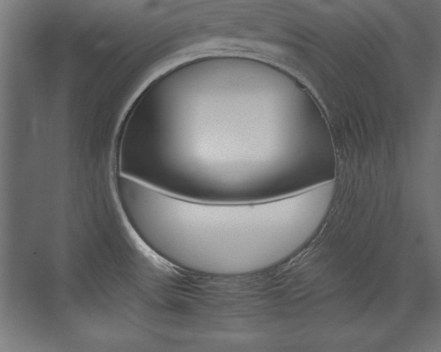 X0000074031531200608211123
