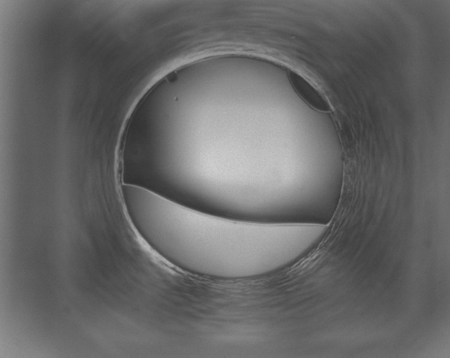 X0000074031535200608211123