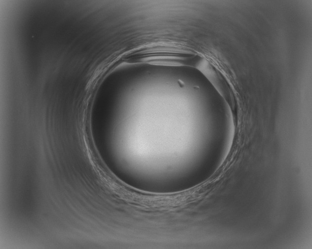 X0000074030001200608211504