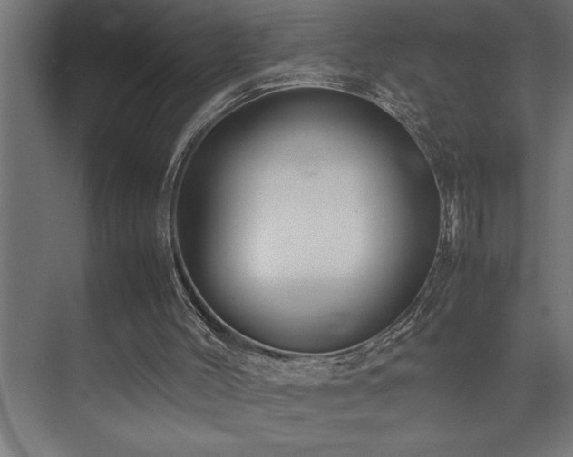 X0000074030004200608211504