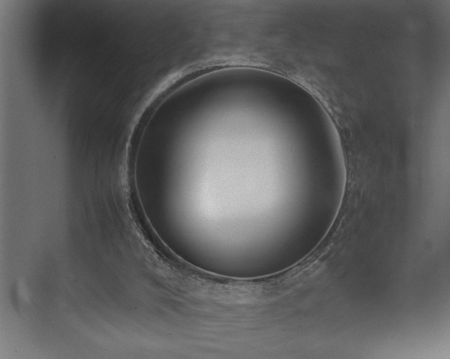 X0000074030008200608211504