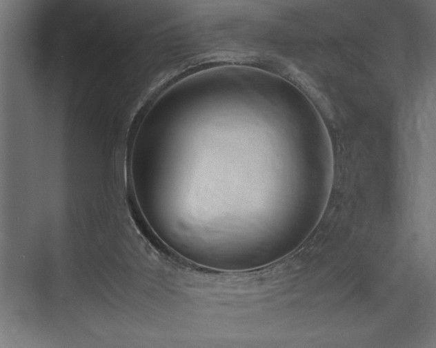 X0000074030011200608211504