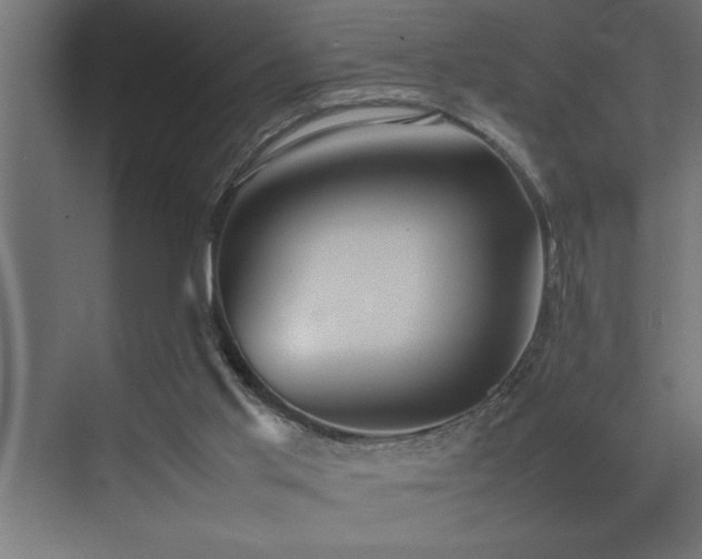 X0000074030013200608211504