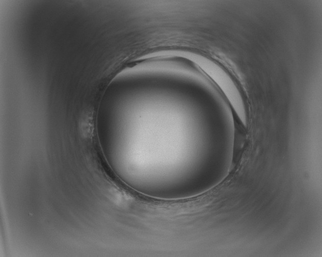 X0000074030017200608211504