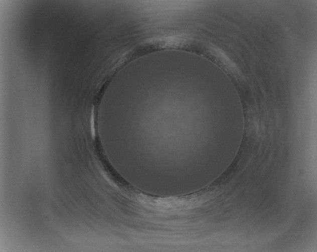 X0000074030022200608211504
