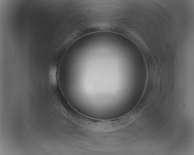 X0000074030024200608211504