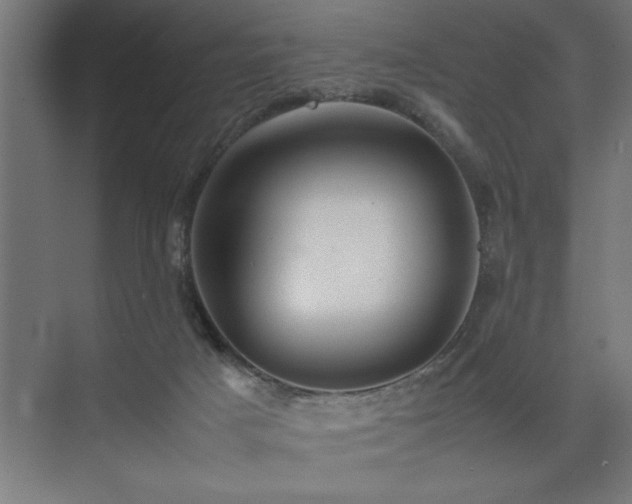 X0000074030025200608211504
