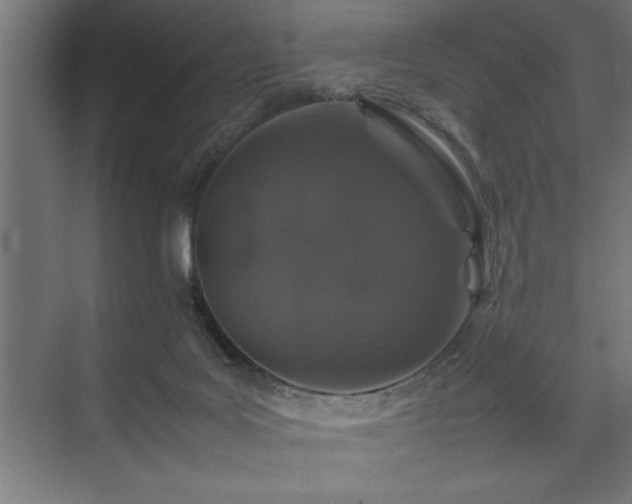 X0000074030027200608211504