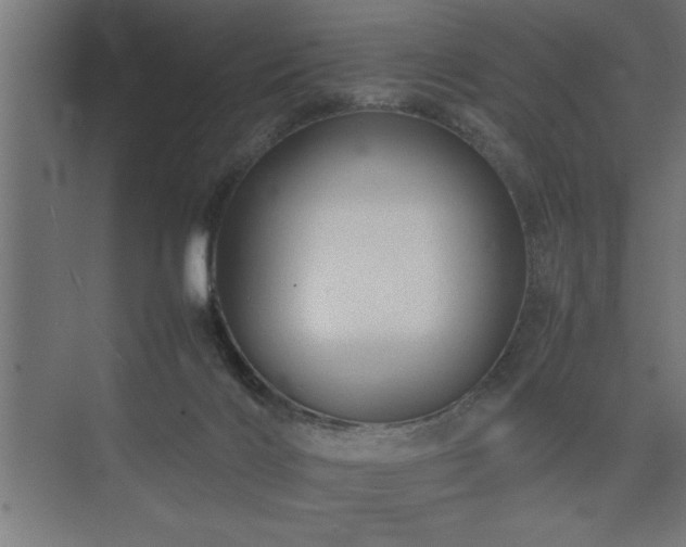 X0000074030028200608211504