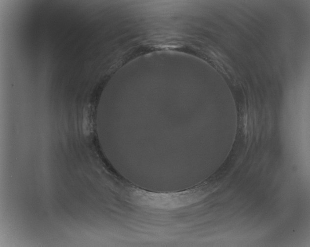 X0000074030030200608211504