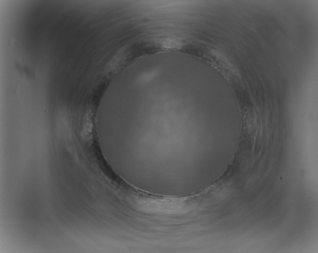 X0000074030032200608211504