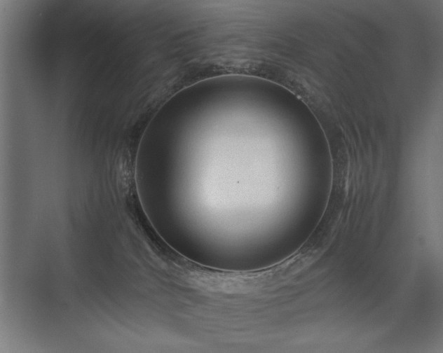 X0000074030040200608211504