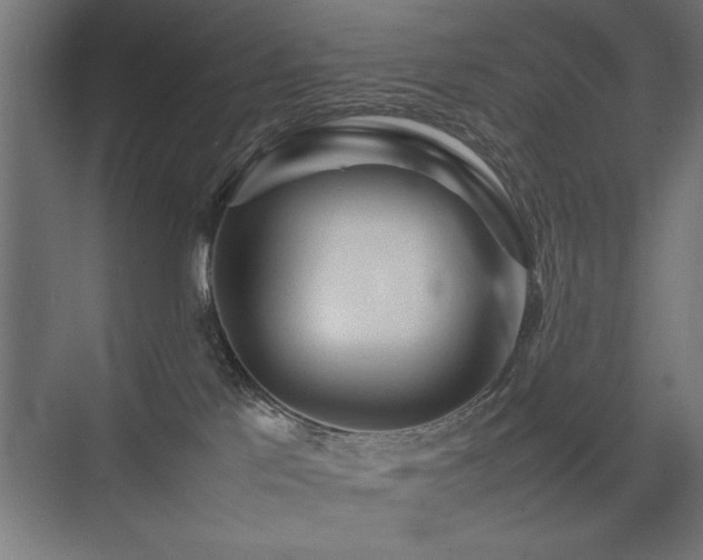 X0000074030041200608211504