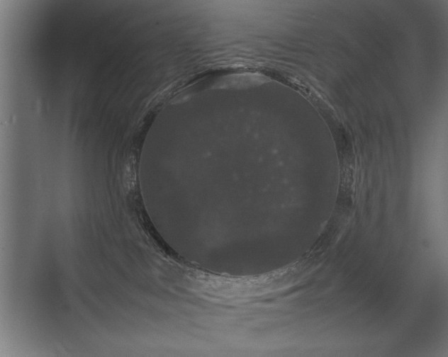 X0000074030043200608211504
