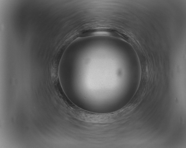 X0000074030044200608211504