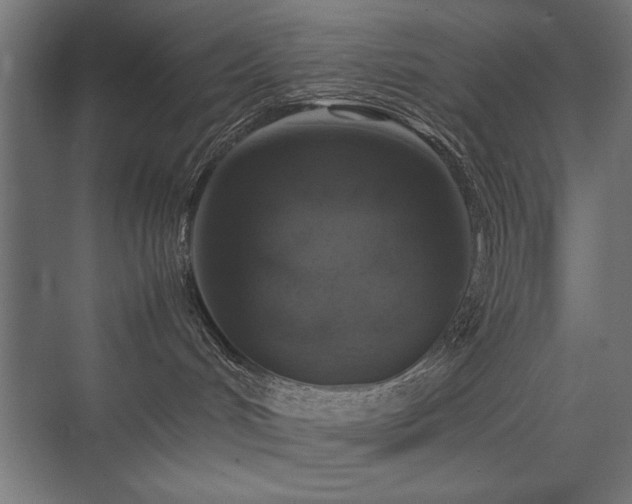 X0000074030048200608211504