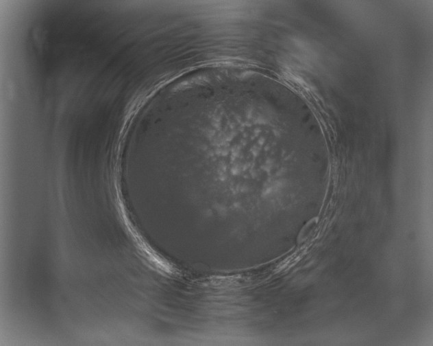 X0000074030049200608211503