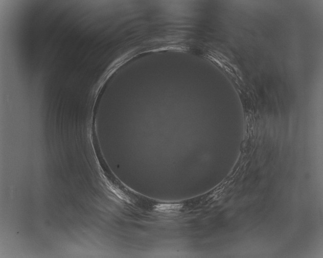X0000074030051200608211503