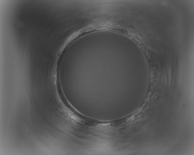 X0000074030054200608211503