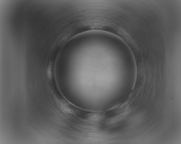 X0000074030074200608211503