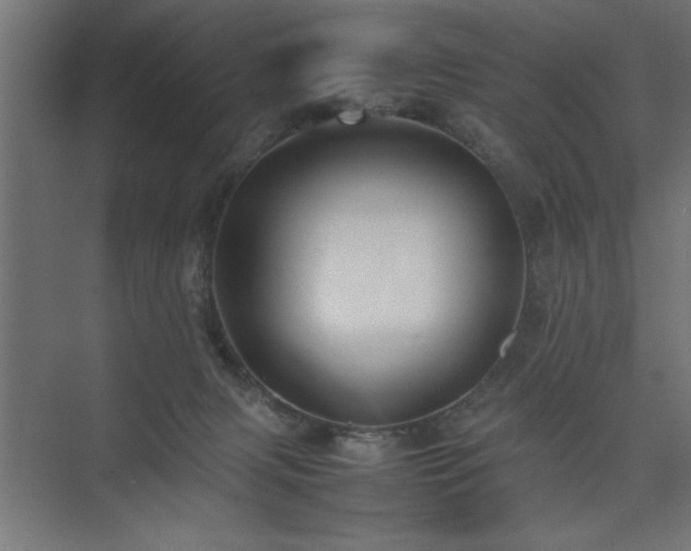 X0000074030079200608211503