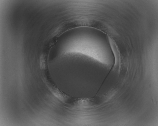 X0000074030080200608211503