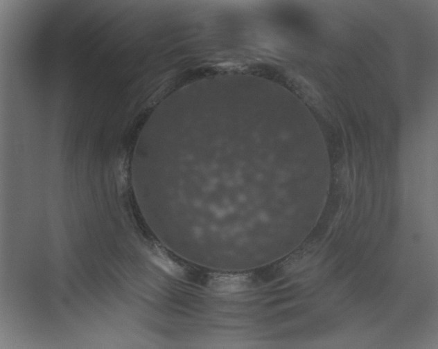 X0000074030081200608211503
