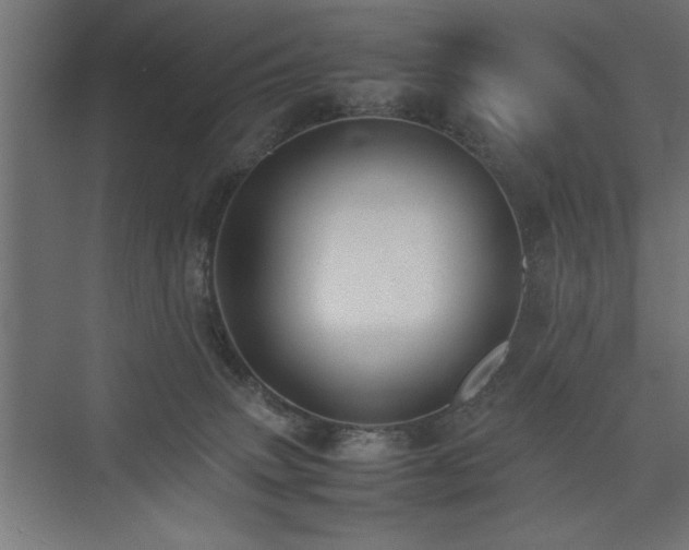 X0000074030083200608211503