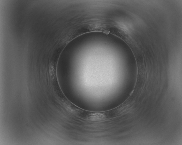X0000074030087200608211503