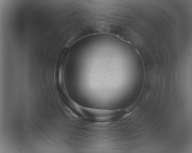 X0000074030088200608211503
