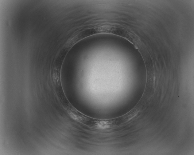 X0000074030091200608211503